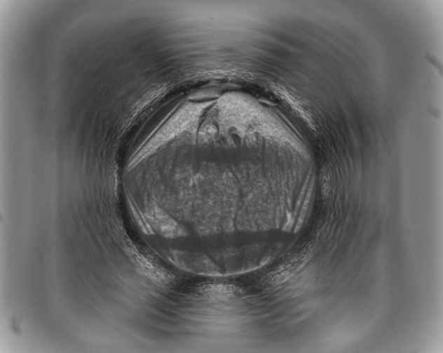 X0000097770637200803281641