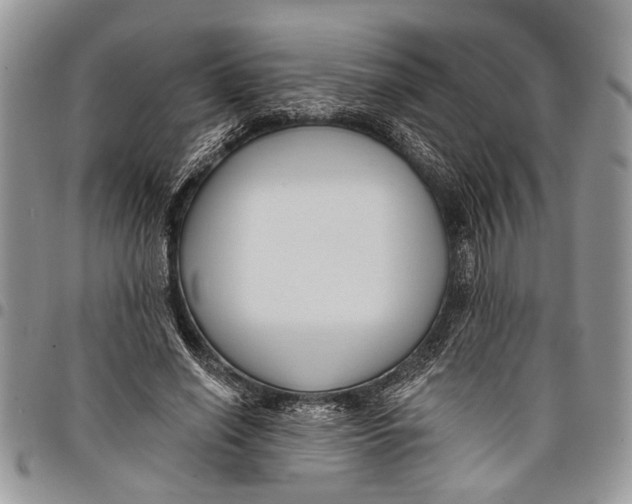 X0000097770638200803281641