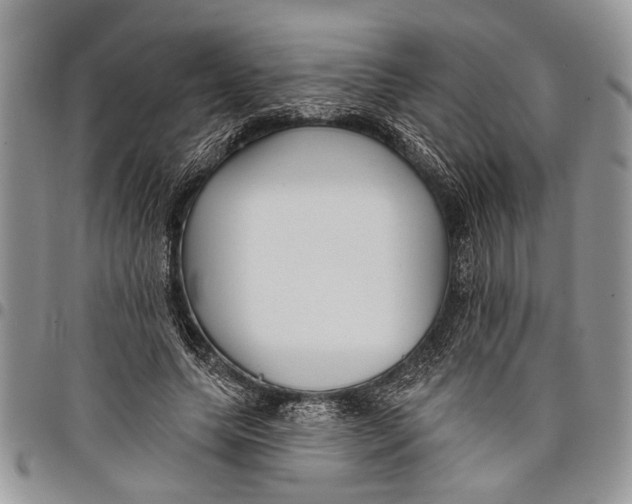 X0000097770639200803281641