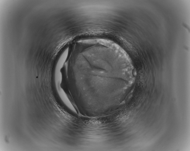 X0000097770640200803281641