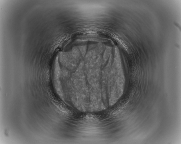 X0000097770641200803281641