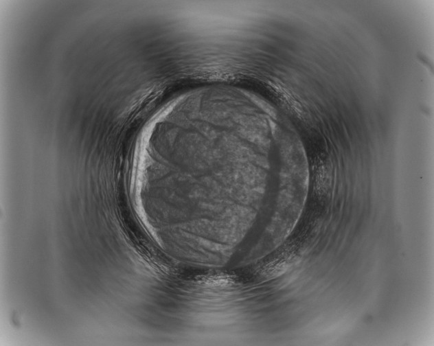 X0000097770643200803281641