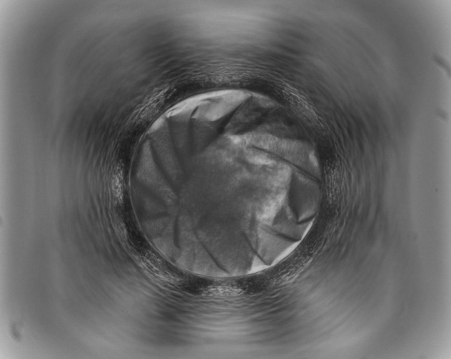 X0000097770644200803281641