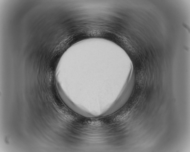 X0000097770645200803281641