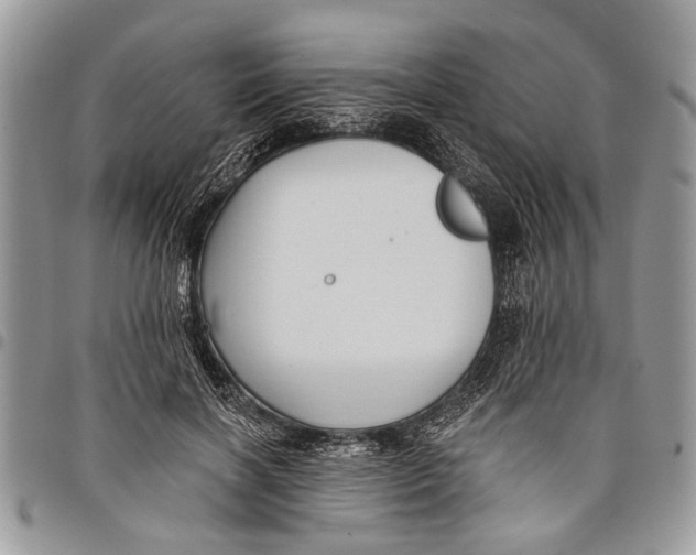 X0000097770646200803281641