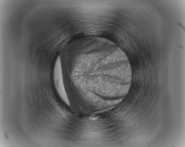 X0000097770647200803281641