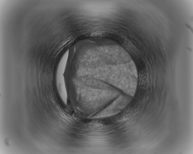 X0000097770648200803281641