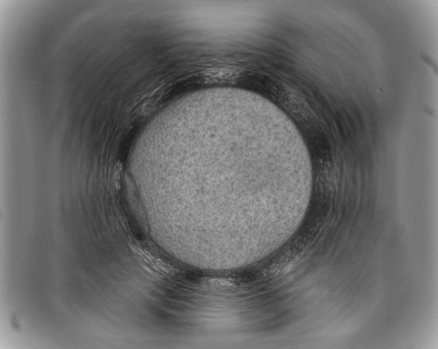 X0000097770649200803281641