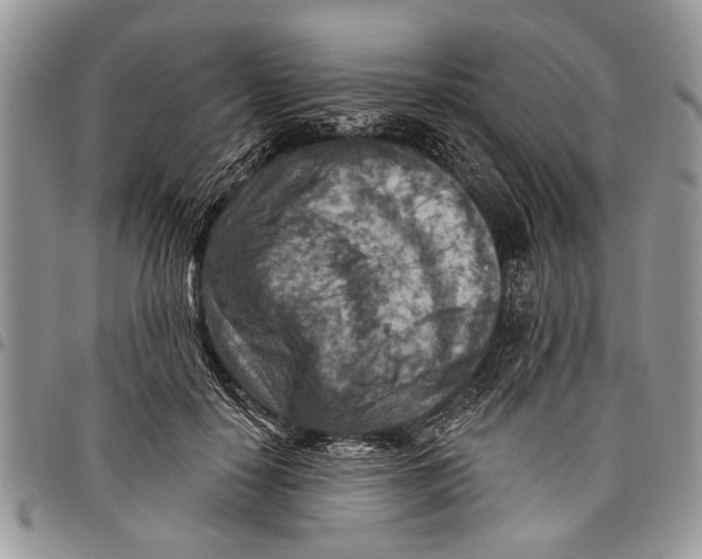 X0000097770650200803281641