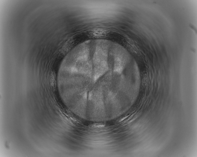 X0000097770651200803281641