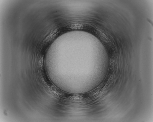 X0000097770652200803281641