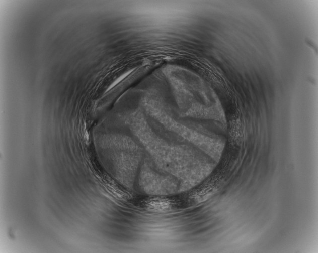 X0000097770653200803281641