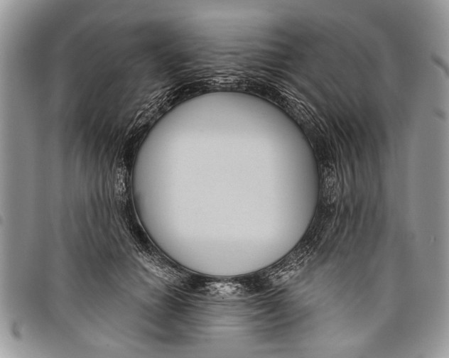 X0000097770654200803281641