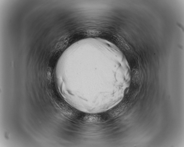 X0000097770655200803281641