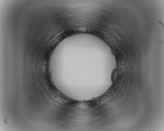 X0000097770656200803281641