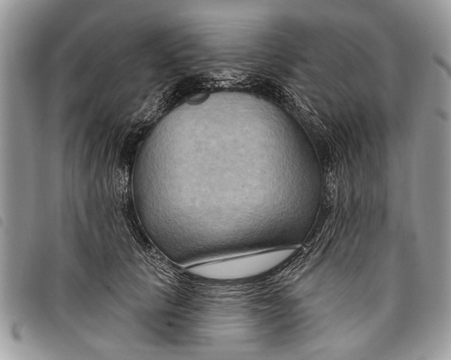 X0000097770657200803281641