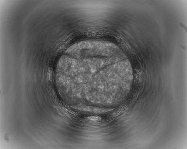 X0000097770659200803281641