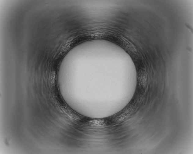 X0000097770660200803281641