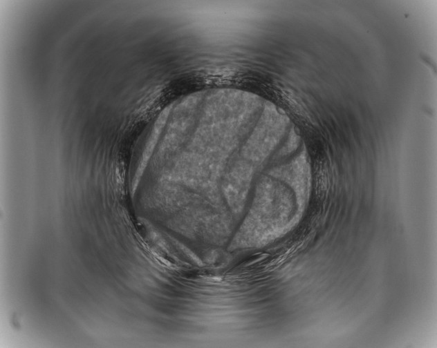 X0000097770661200803281641