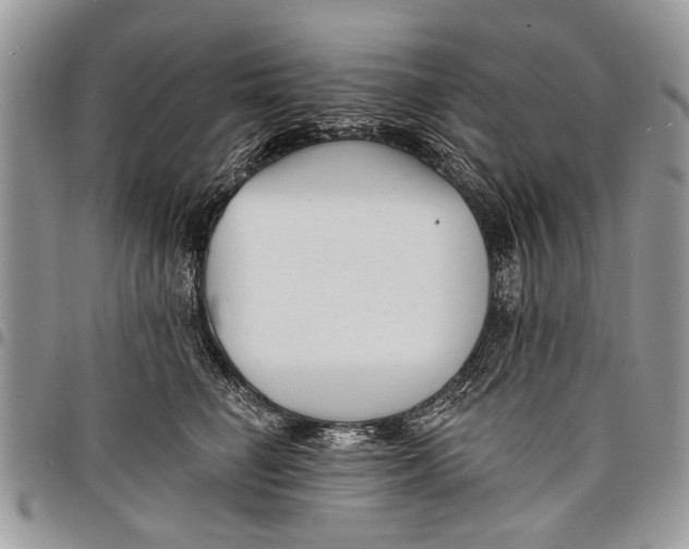 X0000097770662200803281641