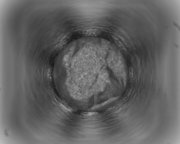 X0000097770663200803281641