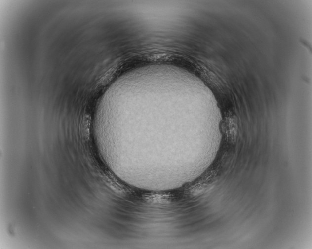 X0000097770664200803281641