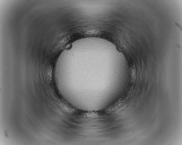 X0000097770668200803281641