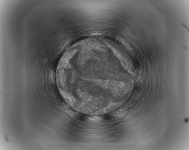 X0000097770669200803281641