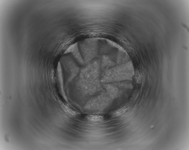 X0000097770670200803281641