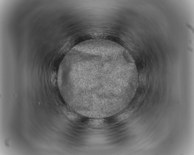 X0000097770671200803281641