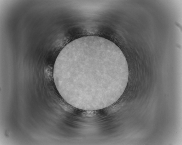 X0000097770672200803281641