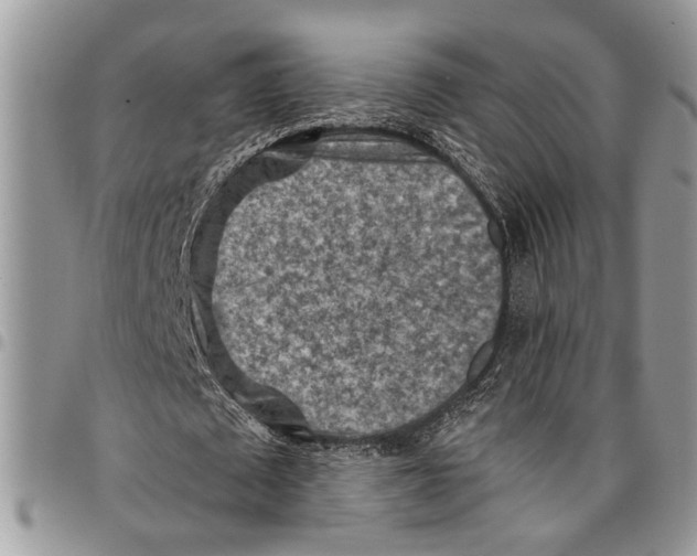 X0000097770673200803281640