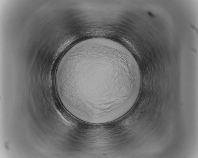 X0000097770674200803281640