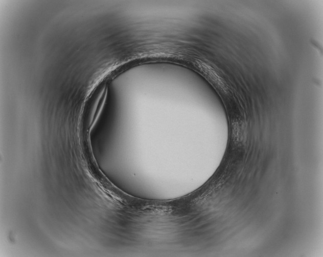 X0000097770676200803281640