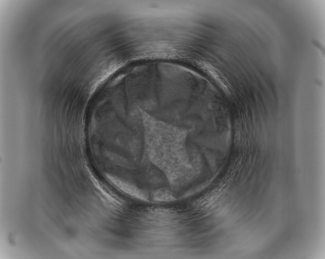 X0000097770677200803281640