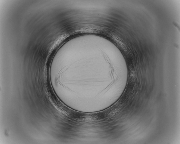 X0000097770678200803281640