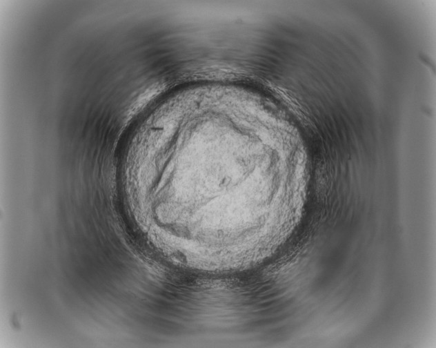 X0000097770679200803281640