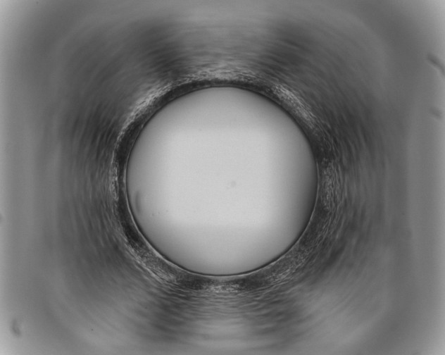 X0000097770680200803281640