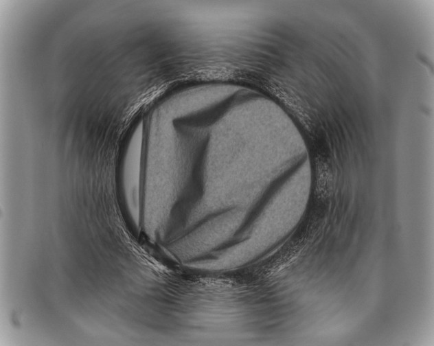 X0000097770681200803281640