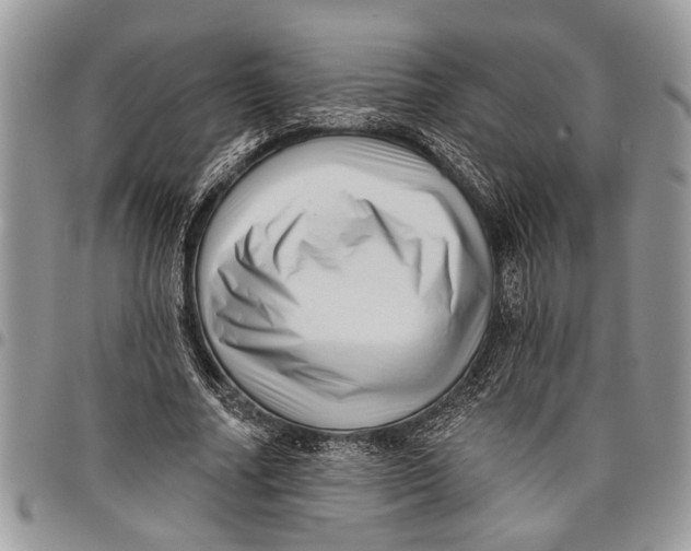 X0000097770682200803281640