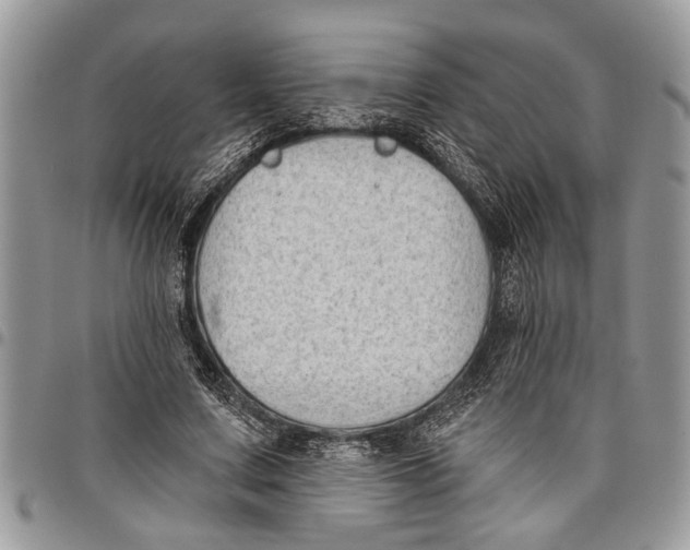 X0000097770683200803281640