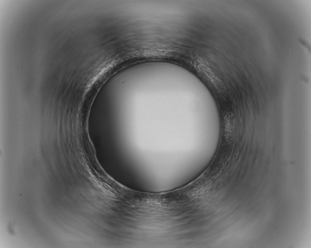 X0000097770684200803281640