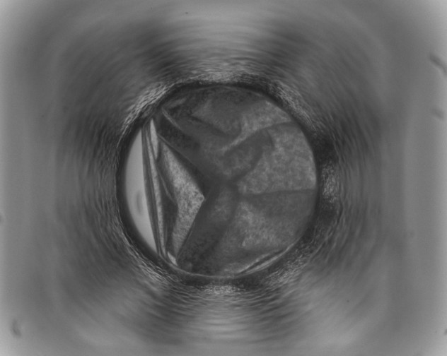 X0000097770685200803281640