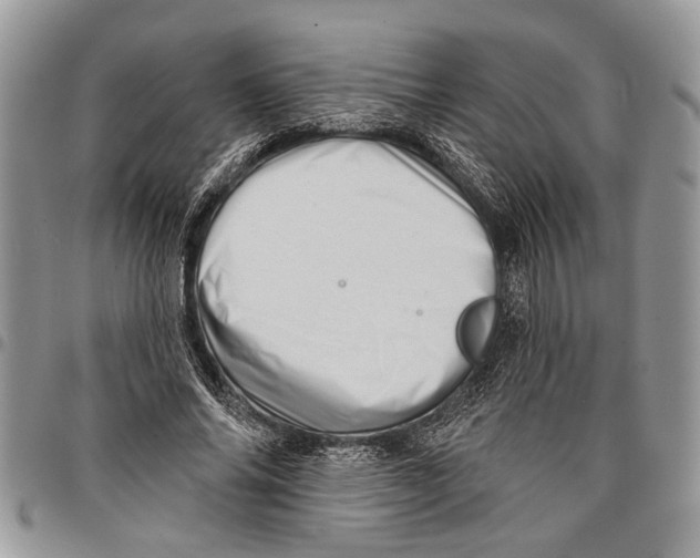 X0000097770686200803281640