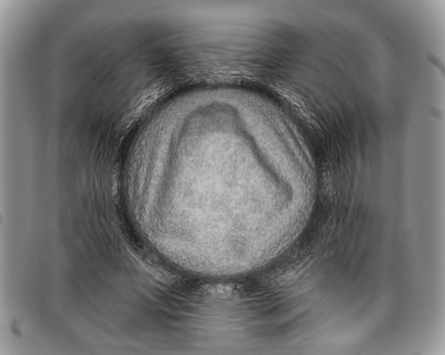 X0000097770687200803281640