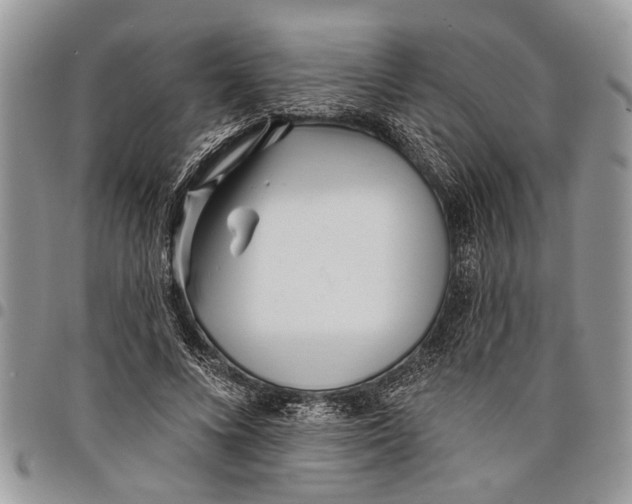 X0000097770688200803281640