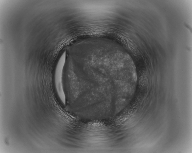 X0000097770689200803281640