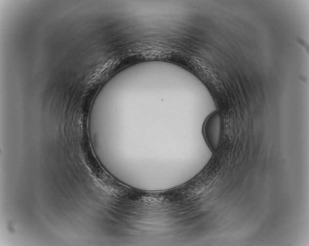 X0000097770690200803281640