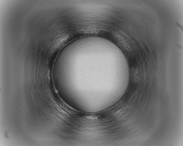 X0000097770692200803281640