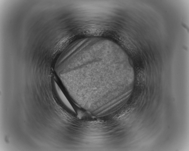 X0000097770693200803281640